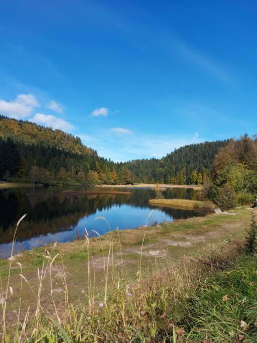 Appart6 Pers Garage Centre A 500M La Bresse Eksteriør billede